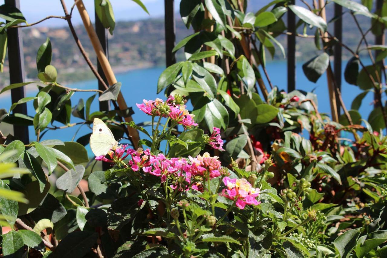 La Casetta Superior Castel Gandolfo Extérieur photo